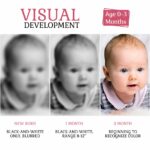 ClapJoy New Born Flash cards cj114