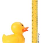 Ratnas Duck Money Bank ra159 - Image 2
